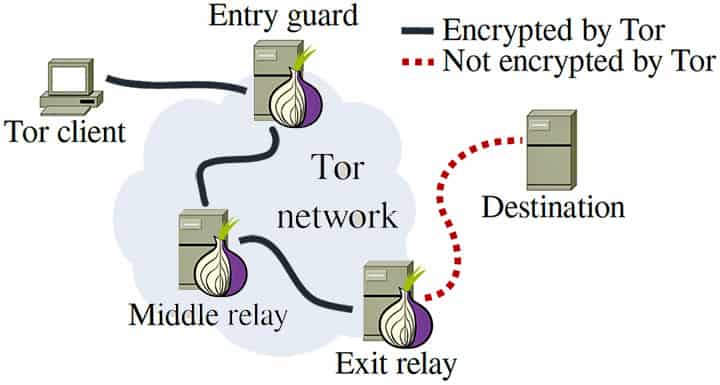 TOR Network Structure