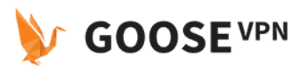 Goose VPN Review