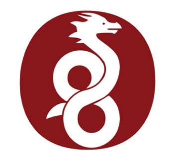 Wireguard VPN Protocol Logo